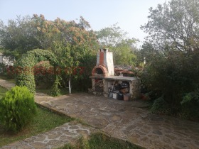 ����� ������� ����,���� ������, ������