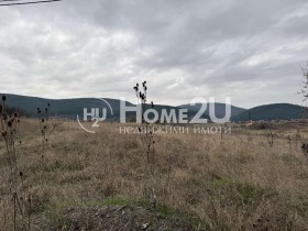 ������ ������� ������