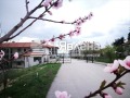 Продава  2-стаен област Варна , с. Приселци , 60 кв.м | 26350502 - изображение [11]