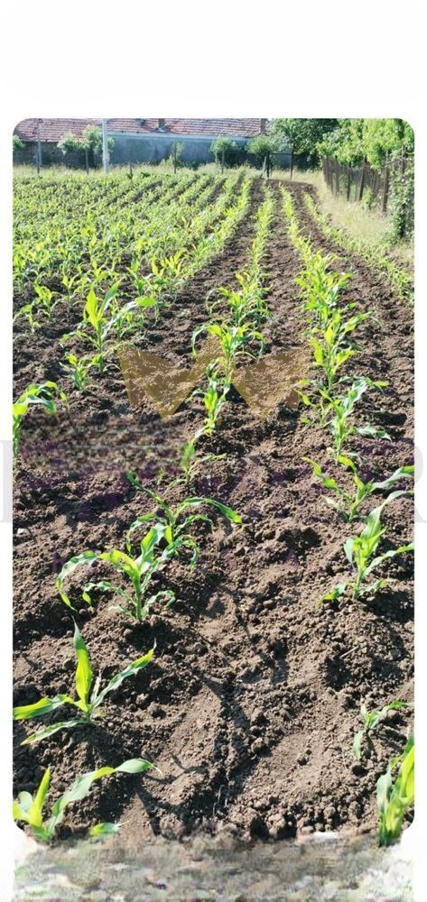 Продава ПАРЦЕЛ, с. Аврен, област Варна