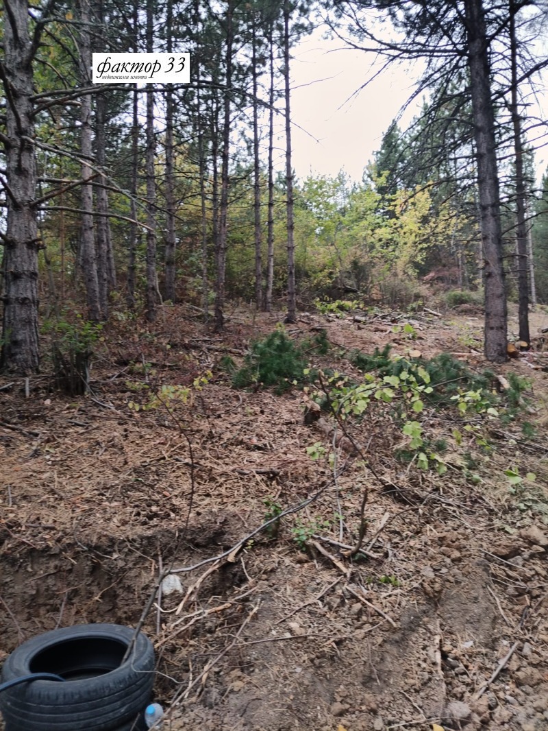 Продава ПАРЦЕЛ, гр. София, с. Панчарево, снимка 2 - Парцели - 52548190