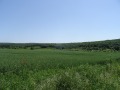 Продава ПАРЦЕЛ, с. Юнец, област Варна, снимка 2
