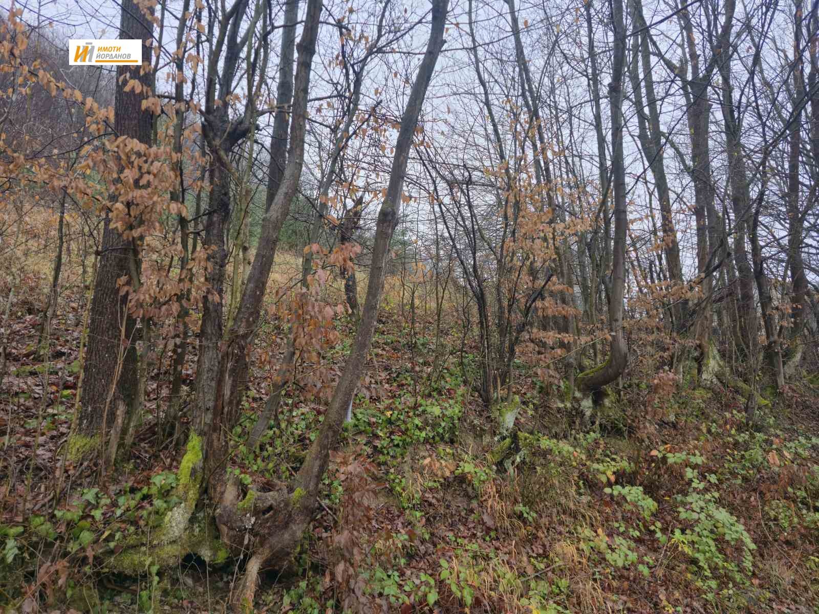 ������� ������ | Imot.bg � ����������� 5