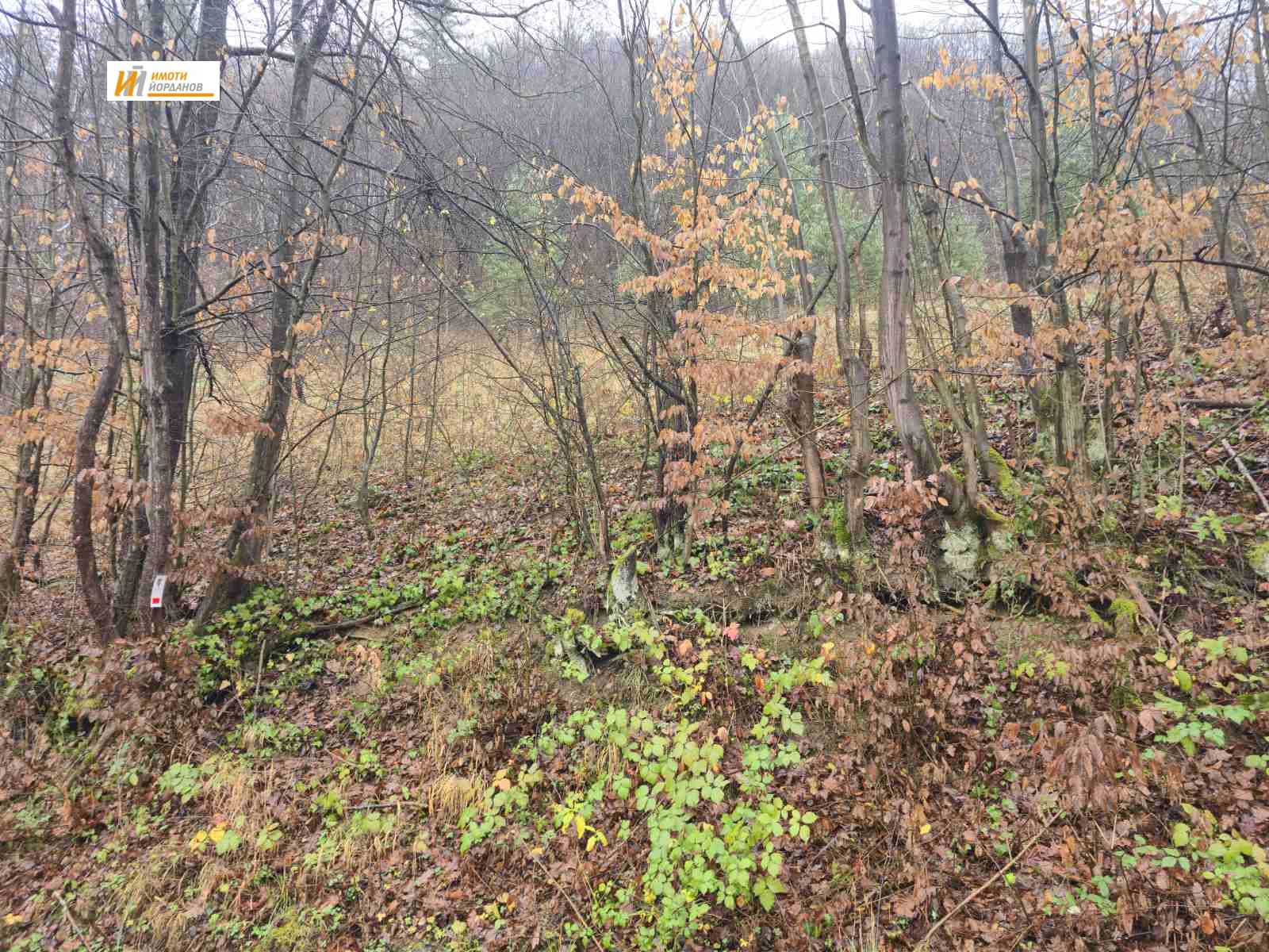 ������� ������ | Imot.bg � ����������� 9