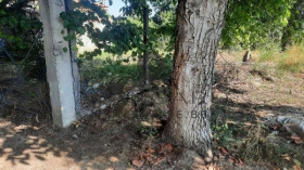 ������� ������ | Imot.bg � ����� ������ 5