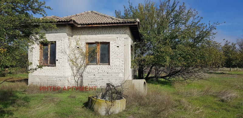 Продава  Къща област Пловдив , с. Правище , 57 кв.м | 93978472