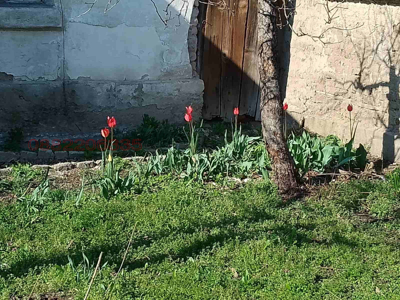 Продава КЪЩА, гр. Първомай, област Пловдив, снимка 8 - Къщи - 52454811