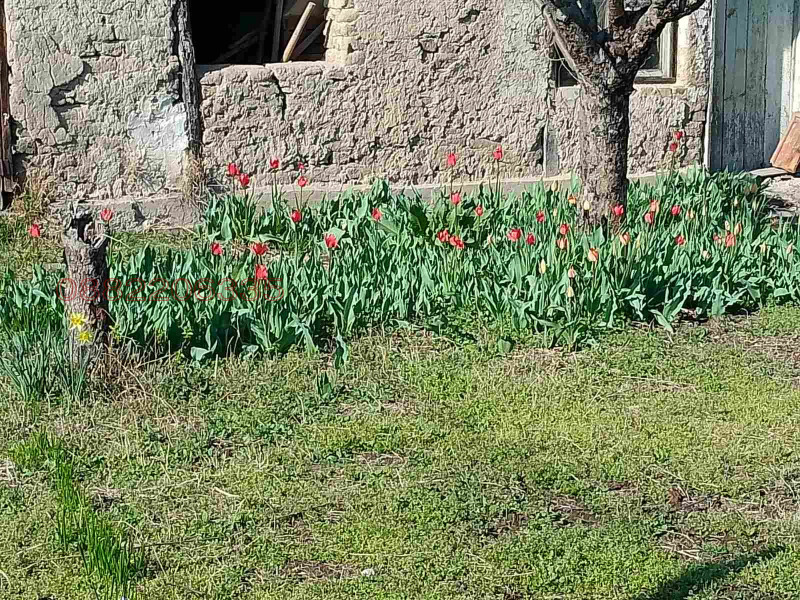 Продава КЪЩА, гр. Първомай, област Пловдив, снимка 7 - Къщи - 52454811