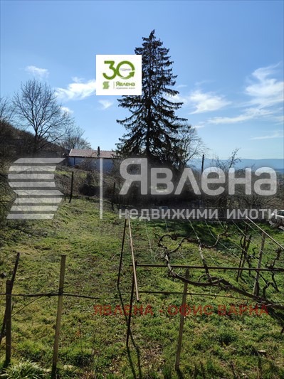 Продава КЪЩА, с. Кипра, област Варна, снимка 6 - Къщи - 49442506