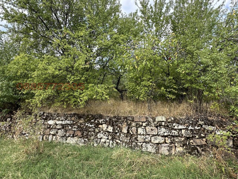 Продава ПАРЦЕЛ, с. Винище, област Монтана, снимка 5 - Парцели - 52781021