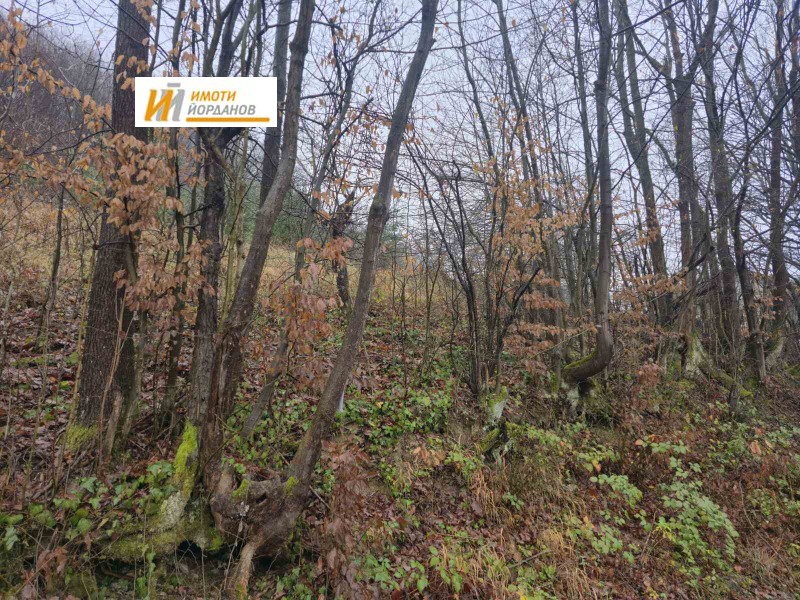 Продава ПАРЦЕЛ, гр. Габрово, област Габрово, снимка 4 - Парцели - 52809970