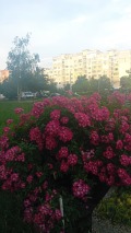 Продава  3-стаен град София , Люлин 4 , 100 кв.м | 48615514 - изображение [11]