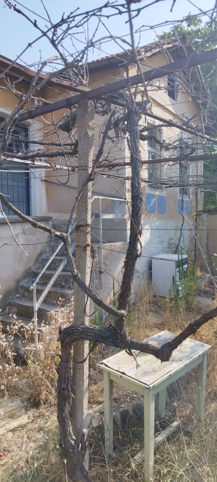 Продава  Къща област Стара Загора , с. Сърневец , 70 кв.м | 93868070 - изображение [7]