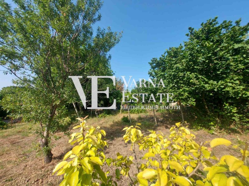 Продава  Парцел област Добрич , с. Кранево , 706 кв.м | 82616299 - изображение [12]