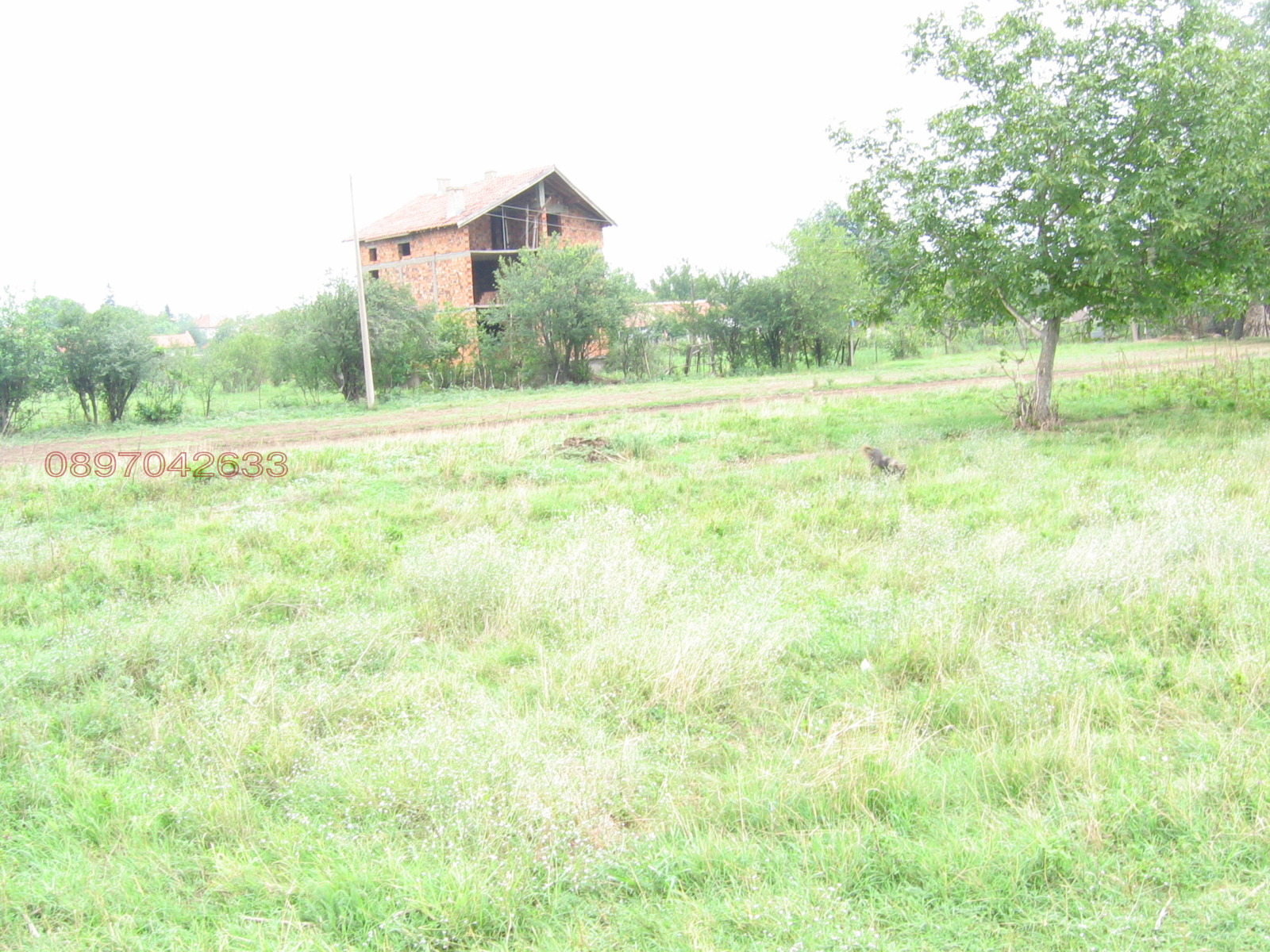Продава КЪЩА, с. Бреница, област Плевен, снимка 16 - Къщи - 54721782