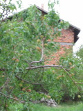Продава КЪЩА, с. Бреница, област Плевен, снимка 7