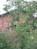 Продава КЪЩА, с. Бреница, област Плевен, снимка 8