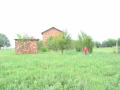 Продава КЪЩА, с. Бреница, област Плевен, снимка 13