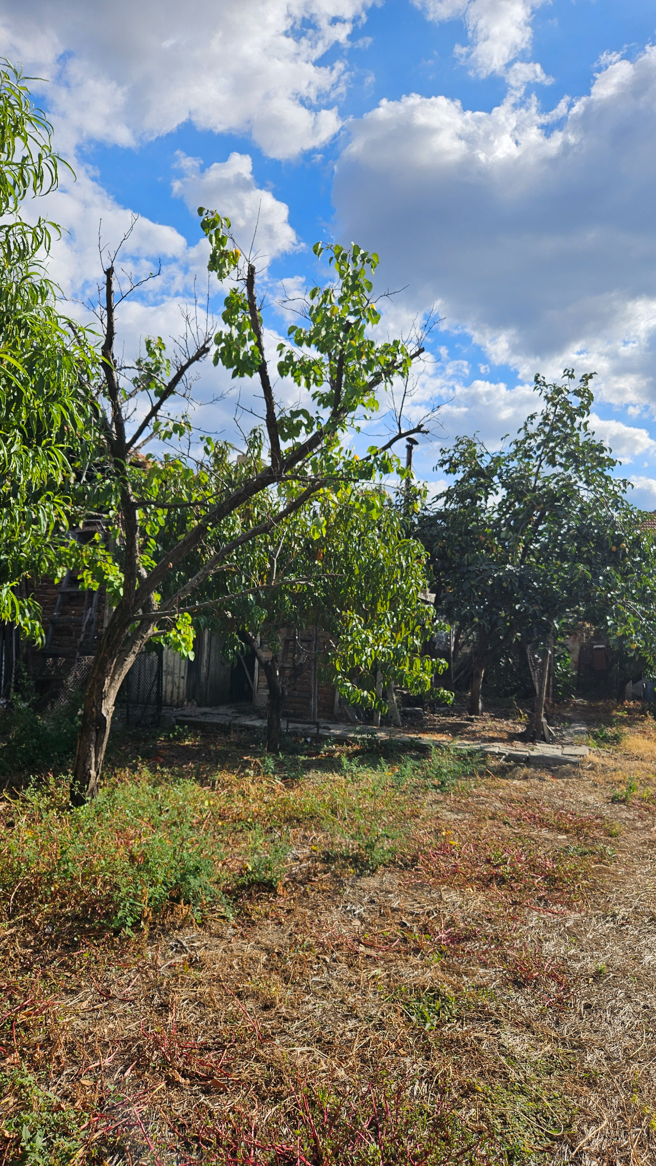 ������� ���� | Imot.bg � ����������� 4