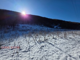 ������� ������ | Imot.bg � ����� ������ 9