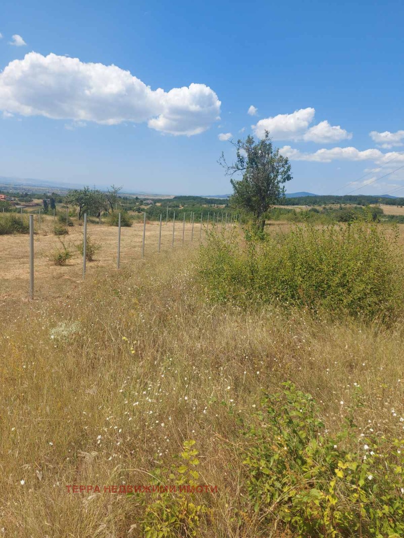 For Sale  Plot Sofia , Podgumer , 1000 sq.m | 46437766 - image [5]