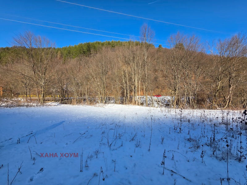 Продава ПАРЦЕЛ, с. Чифлик, област Ловеч, снимка 6 - Парцели - 53165646