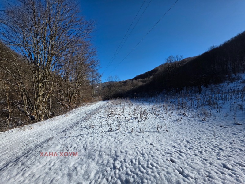 Продава ПАРЦЕЛ, с. Чифлик, област Ловеч, снимка 2 - Парцели - 53165646