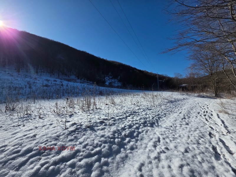 Продава ПАРЦЕЛ, с. Чифлик, област Ловеч, снимка 11 - Парцели - 53165646