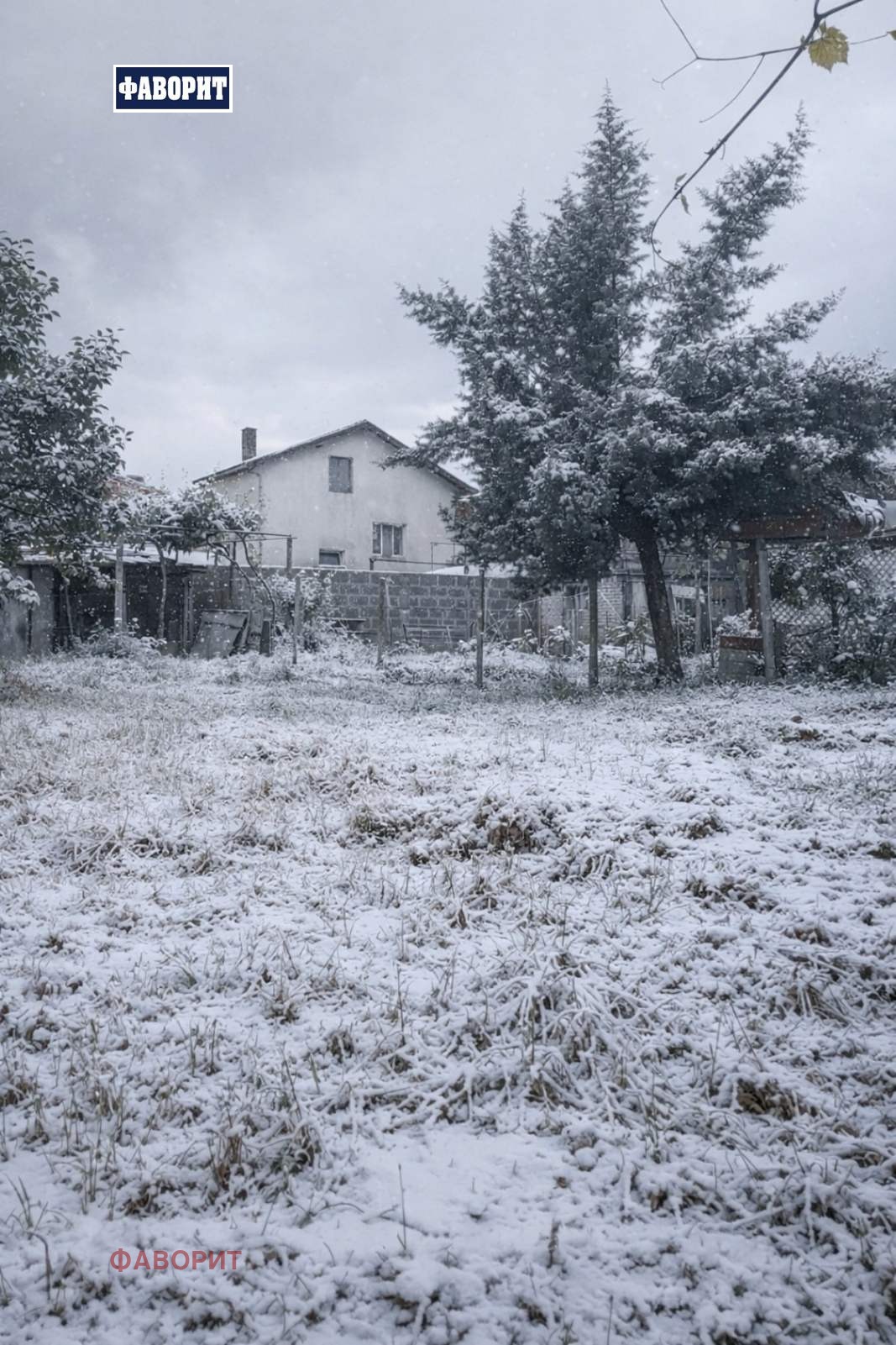 Продава КЪЩА, с. Браниполе, област Пловдив, снимка 2 - Къщи - 53072280