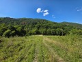 Продава ПАРЦЕЛ, с. Чифлик, област Ловеч, снимка 5