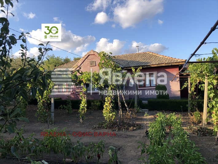 Продава КЪЩА, с. Видно, област Добрич, снимка 1 - Къщи - 48263992