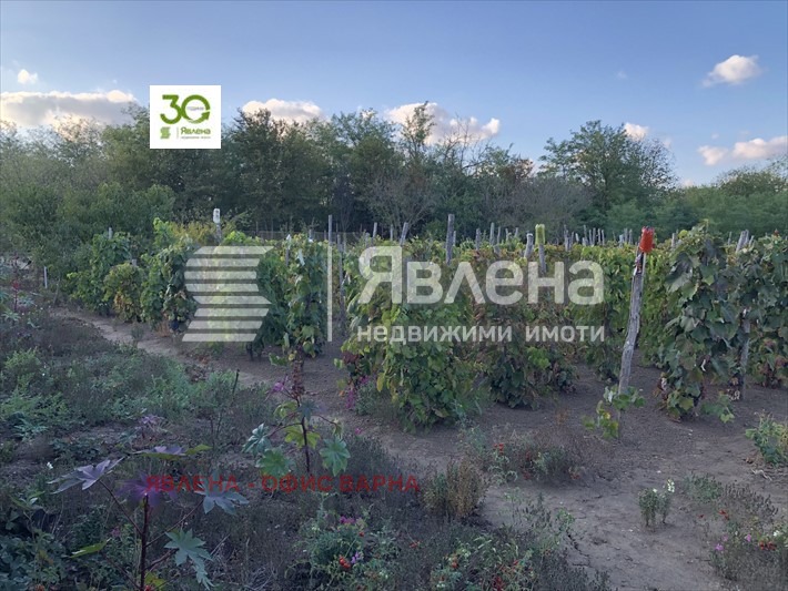 Продава КЪЩА, с. Видно, област Добрич, снимка 2 - Къщи - 48263992