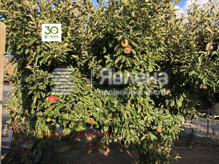 Продава КЪЩА, с. Видно, област Добрич, снимка 7 - Къщи - 48263992