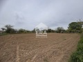 Продава ПАРЦЕЛ, с. Калипетрово, област Силистра, снимка 2