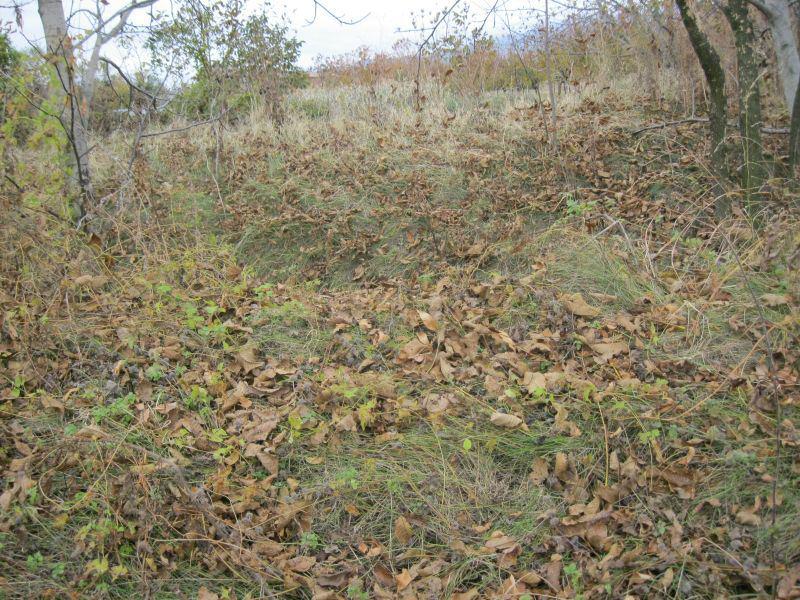 ������� ������ | Imot.bg � ����������� 8