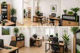 ����� ������� ����,���� �����, ���������� ����