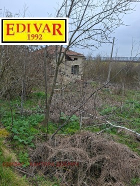 ����� ������� ����,�. ��������, ������ ������