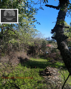 ������� ������ | Imot.bg � ����� ������ 3