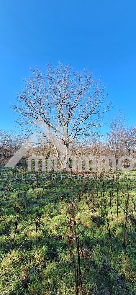 Продава КЪЩА, с. Водица, област Варна, снимка 12 - Къщи - 52719724