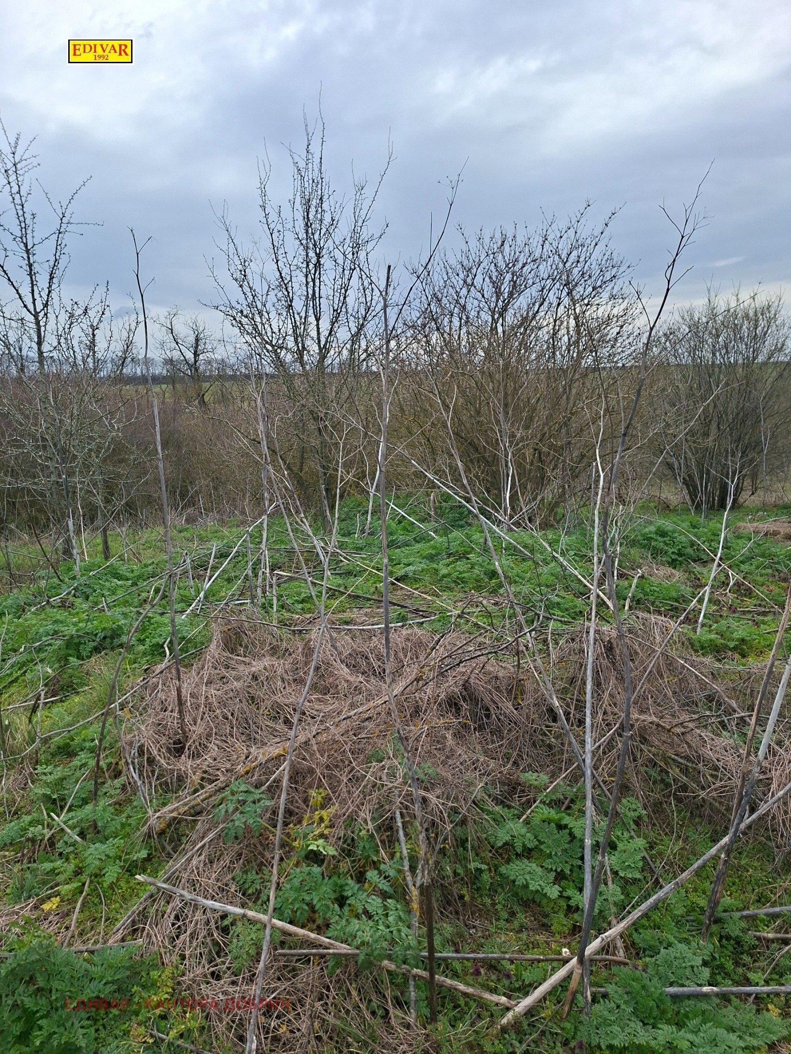 Продава КЪЩА, с. Котленци, област Добрич, снимка 4 - Къщи - 53969702