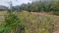 Продава КЪЩА, гр. Варна, м-т Манастирски рид, снимка 8