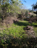 Продава ПАРЦЕЛ, с. Радловци, област Кюстендил, снимка 2