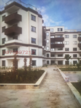 ����� ������� 1-�����,���� ������, �����