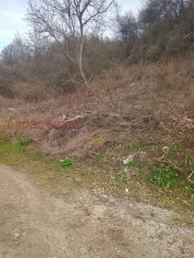 ������� ������ | Imot.bg � ����� ������ 5