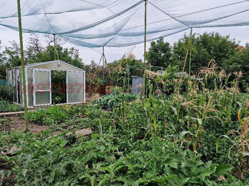 Продава КЪЩА, с. Завой, област Ямбол, снимка 4 - Къщи - 52779154