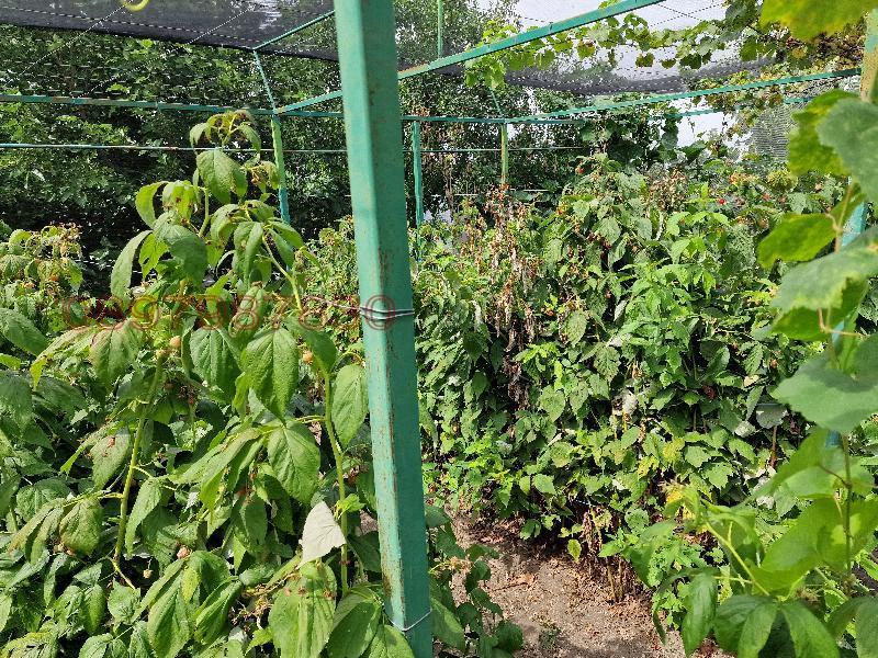 Продава КЪЩА, с. Завой, област Ямбол, снимка 13 - Къщи - 52779154