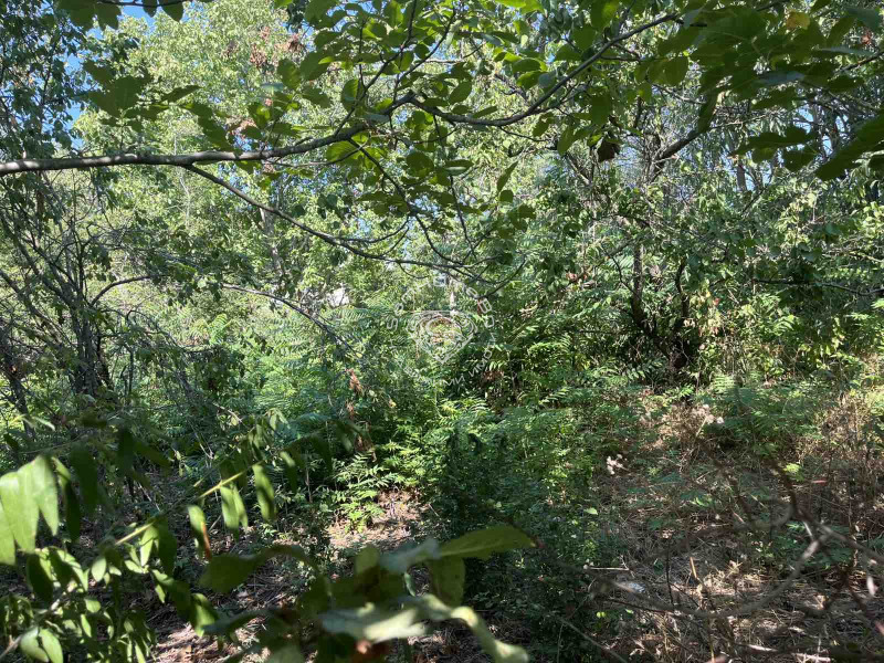 En venta  Trama región Varna , Strashimirovo , 707 metros cuadrados | 81546247 - imagen [4]
