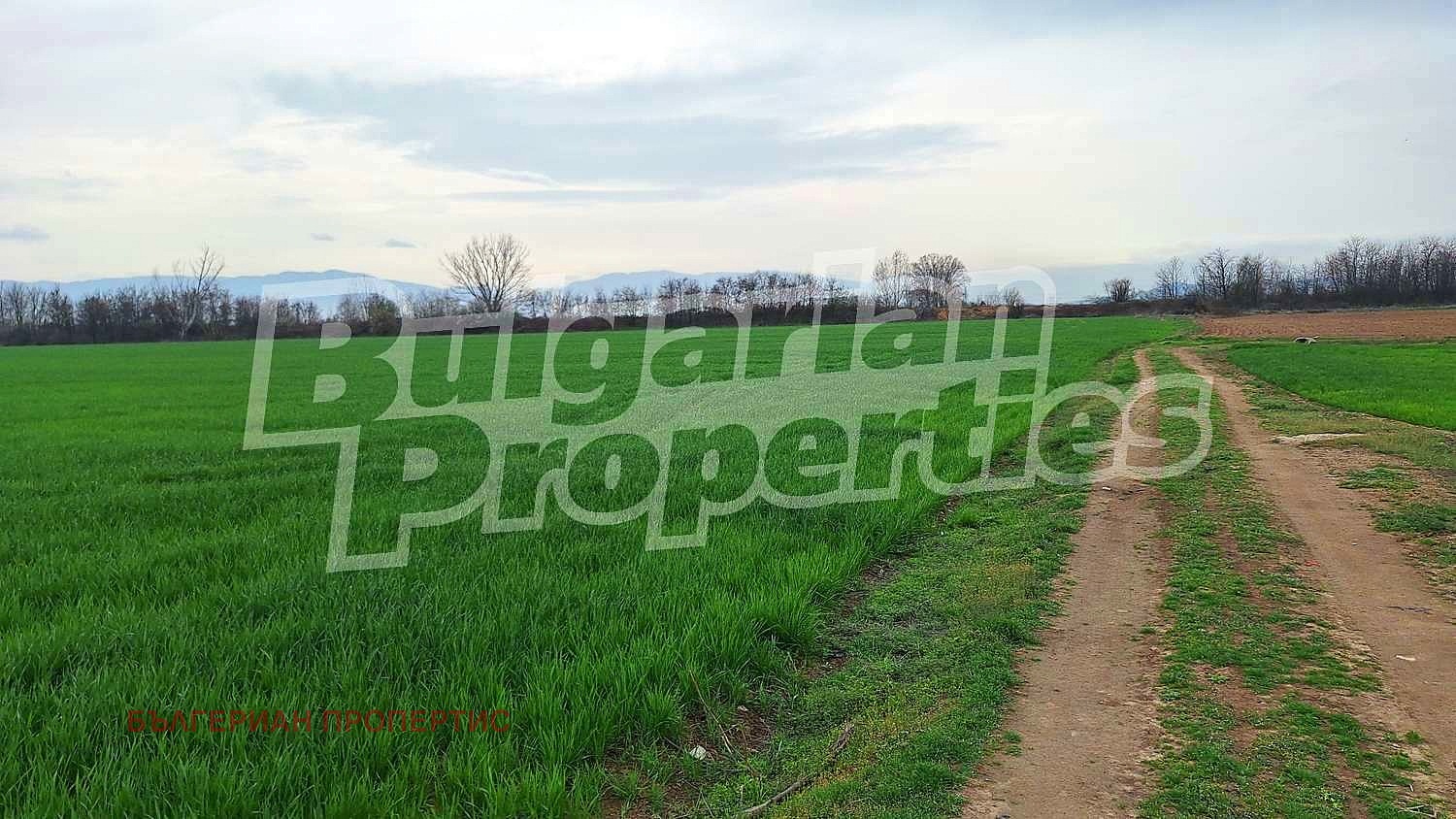 Продава ПАРЦЕЛ, с. Гелеменово, област Пазарджик, снимка 2 - Парцели - 49707265