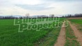 Продава ПАРЦЕЛ, с. Гелеменово, област Пазарджик, снимка 2