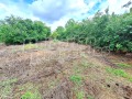 Продава КЪЩА, област Велико Търново, с. Недан • 17000 € • 29211221 — Holmes.bg